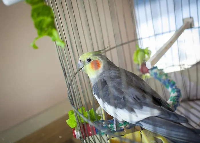 Park Perla 4* غولدن ساندز