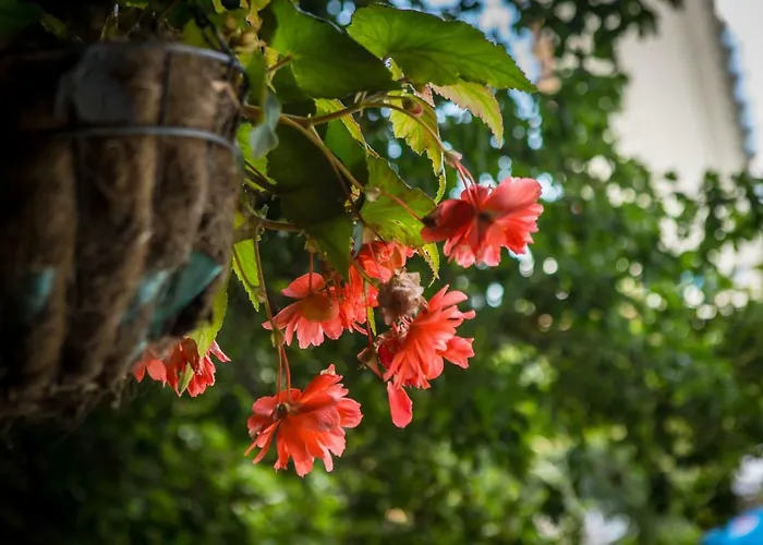 Park Perla فندق 4*