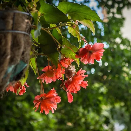 Park Perla Hotell 4*